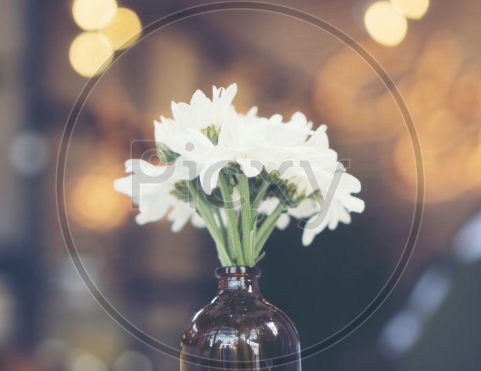 Close up of white flowers in a glass bottle vintage filter