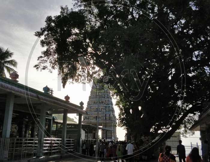 Maruthamalai Sri Subrahmanya Swamy Temple, Maruthamalai,