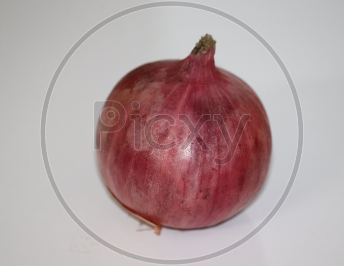 Fresh onion isolated on white background with clipping path - Image