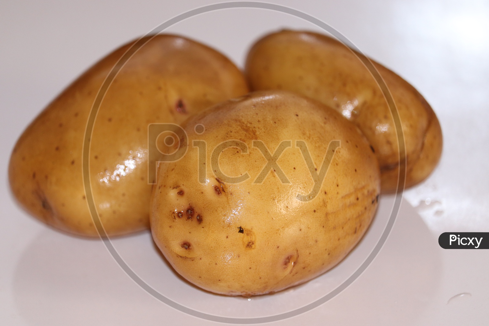 Fresh organic potato stand out among many large background potatos in the market. Heap of potatos root. Close-up potatos texture. Macro potato. - Image