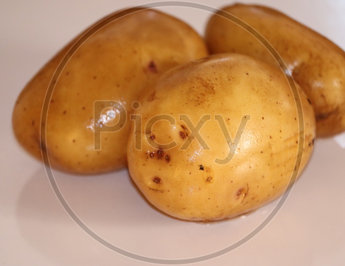 Potatoes against white background daily food in Western and Western countries - Image