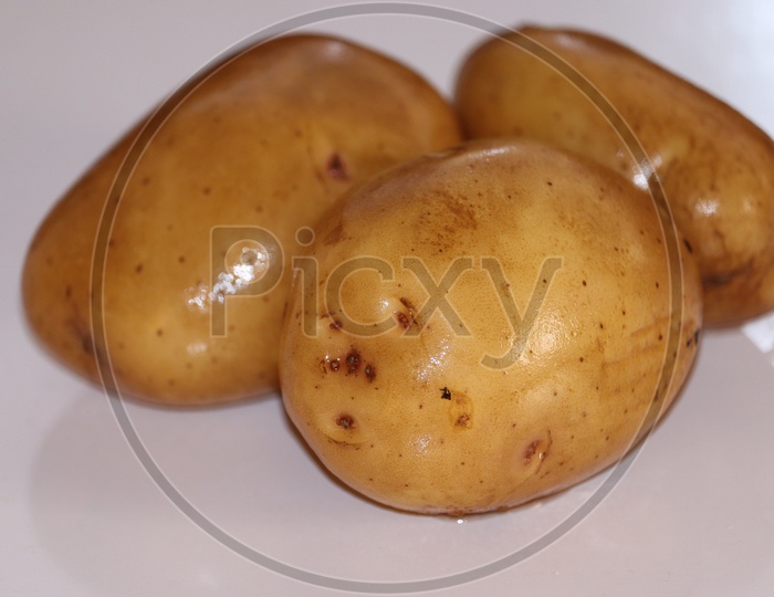 Fresh organic potato stand out among many large background potatos in the market. Heap of potatos root. Close-up potatos texture. Macro potato. - Image