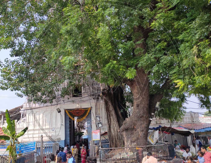 Vemulawada Temple