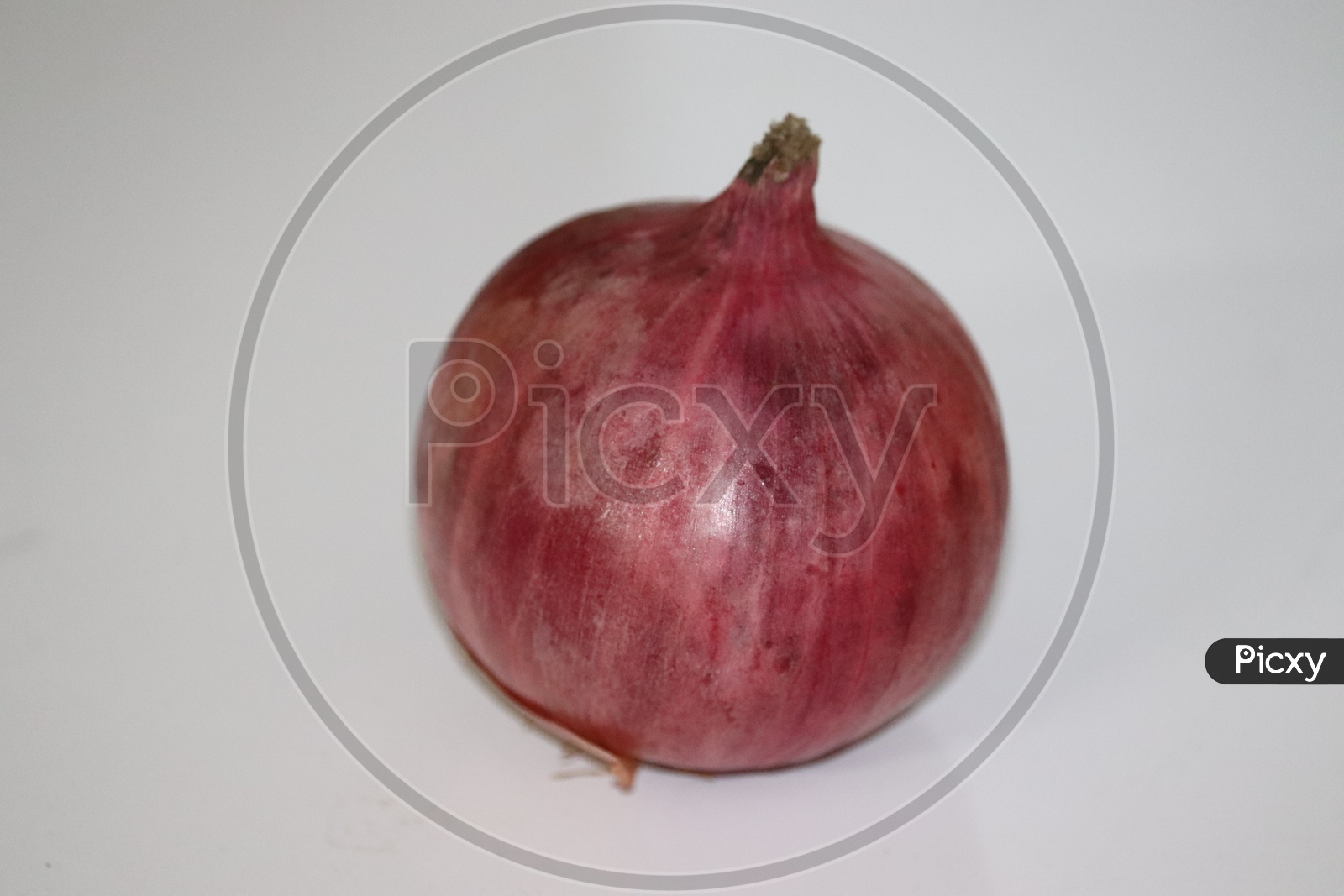 Fresh onion isolated on white background with clipping path - Image