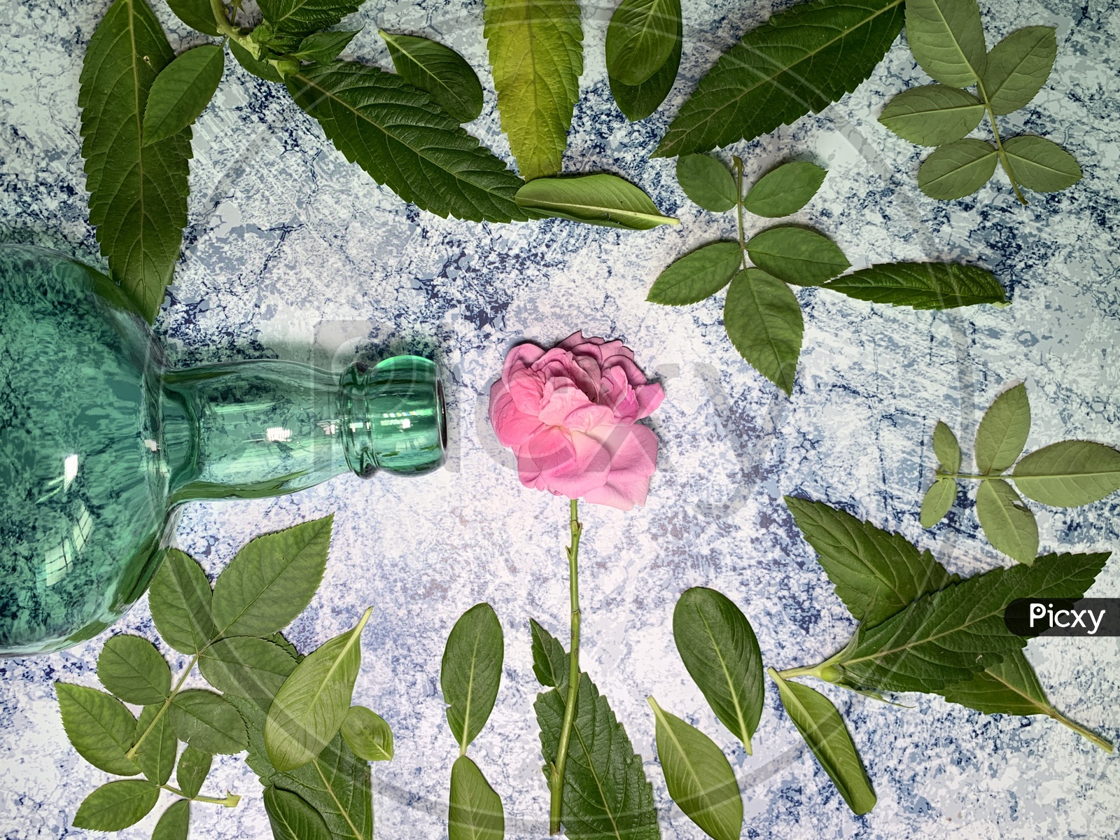 Rose, some leafs and a bottle on the flat textured background