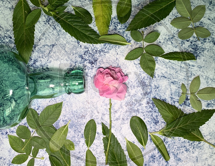 Rose, some leafs and a bottle on the flat textured background