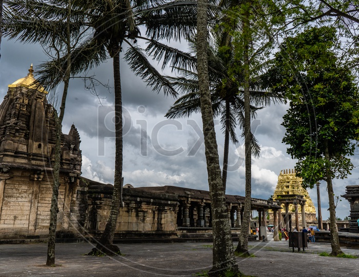 Hindu Temple Shrine Of  Belur Chennakeshava Temple With Coconut Tree Canopy And  Sky As Background