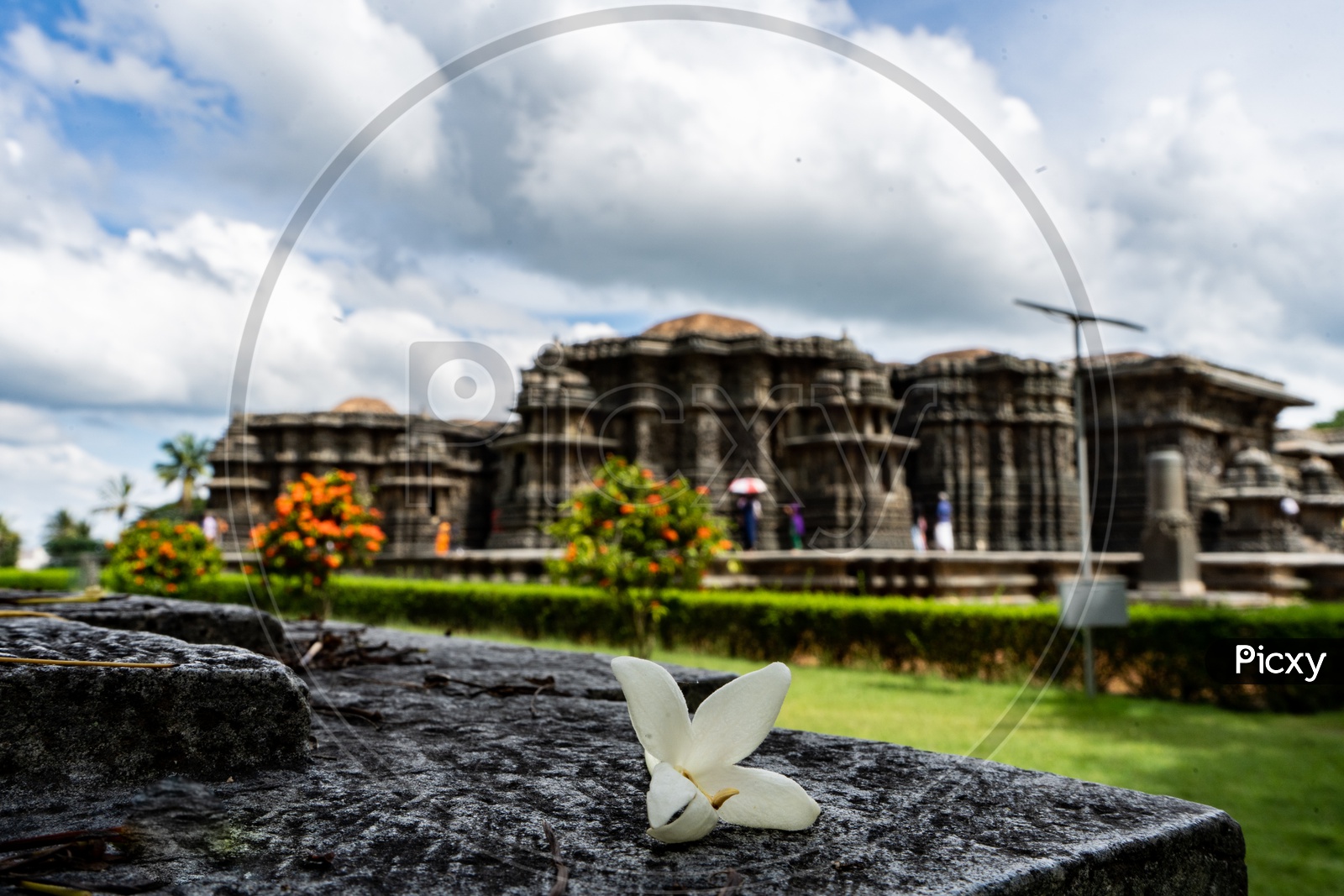 Composition of A Flower With Belur Chennakeshava Temple in Background
