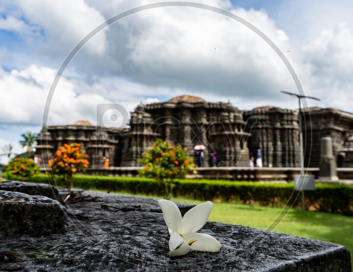 Composition of A Flower With Belur Chennakeshava Temple in Background