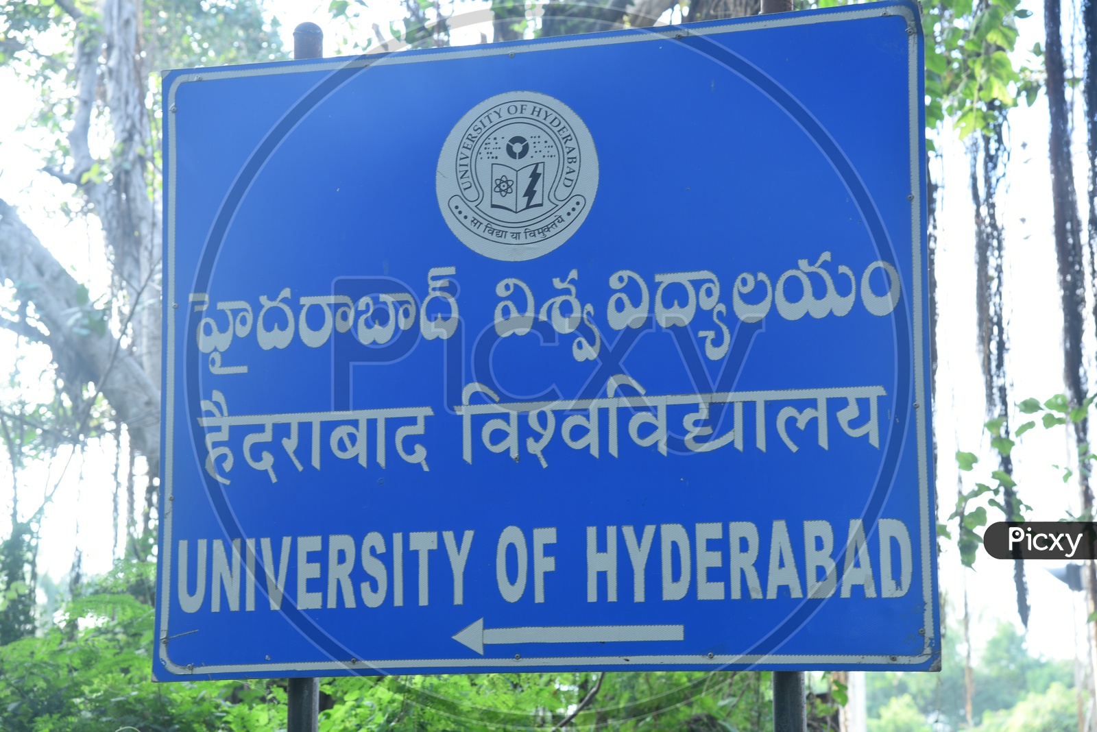 University Of Hyderabad Or Hyderabad Central University  Name Boards Inside University College