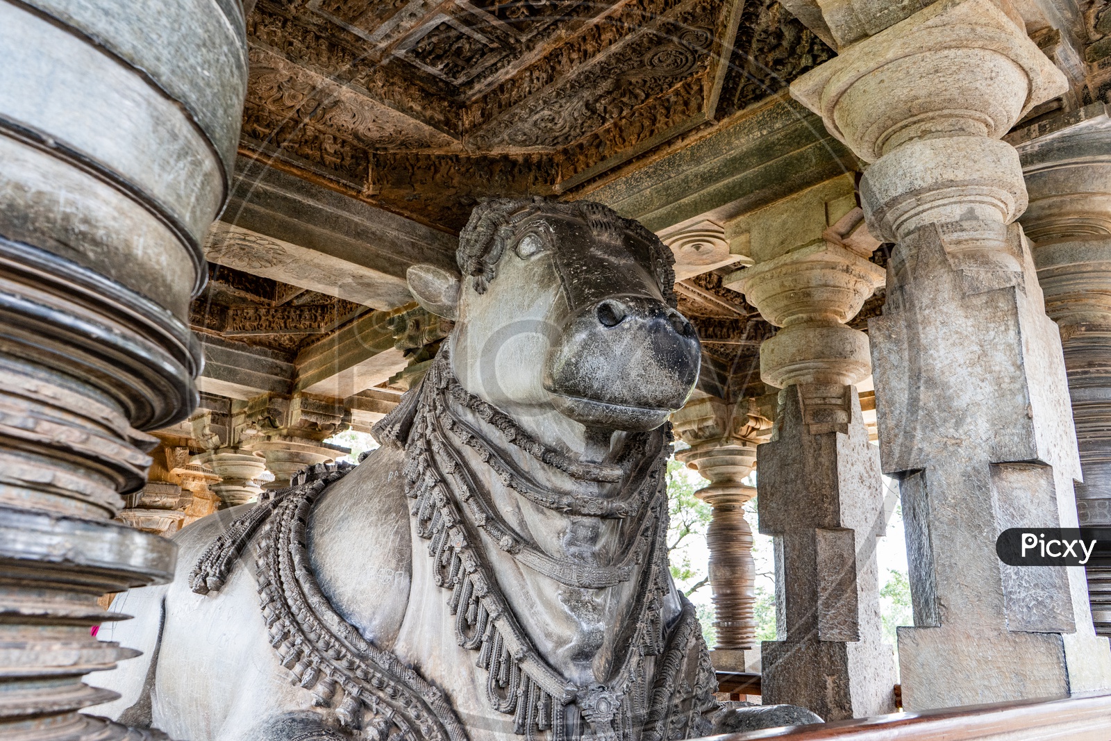 Stone Crafted Big Nandhi Or Bull Statue In Ancient Hindu Temple Of Chennakeshava Temple In Belur , Karnataka
