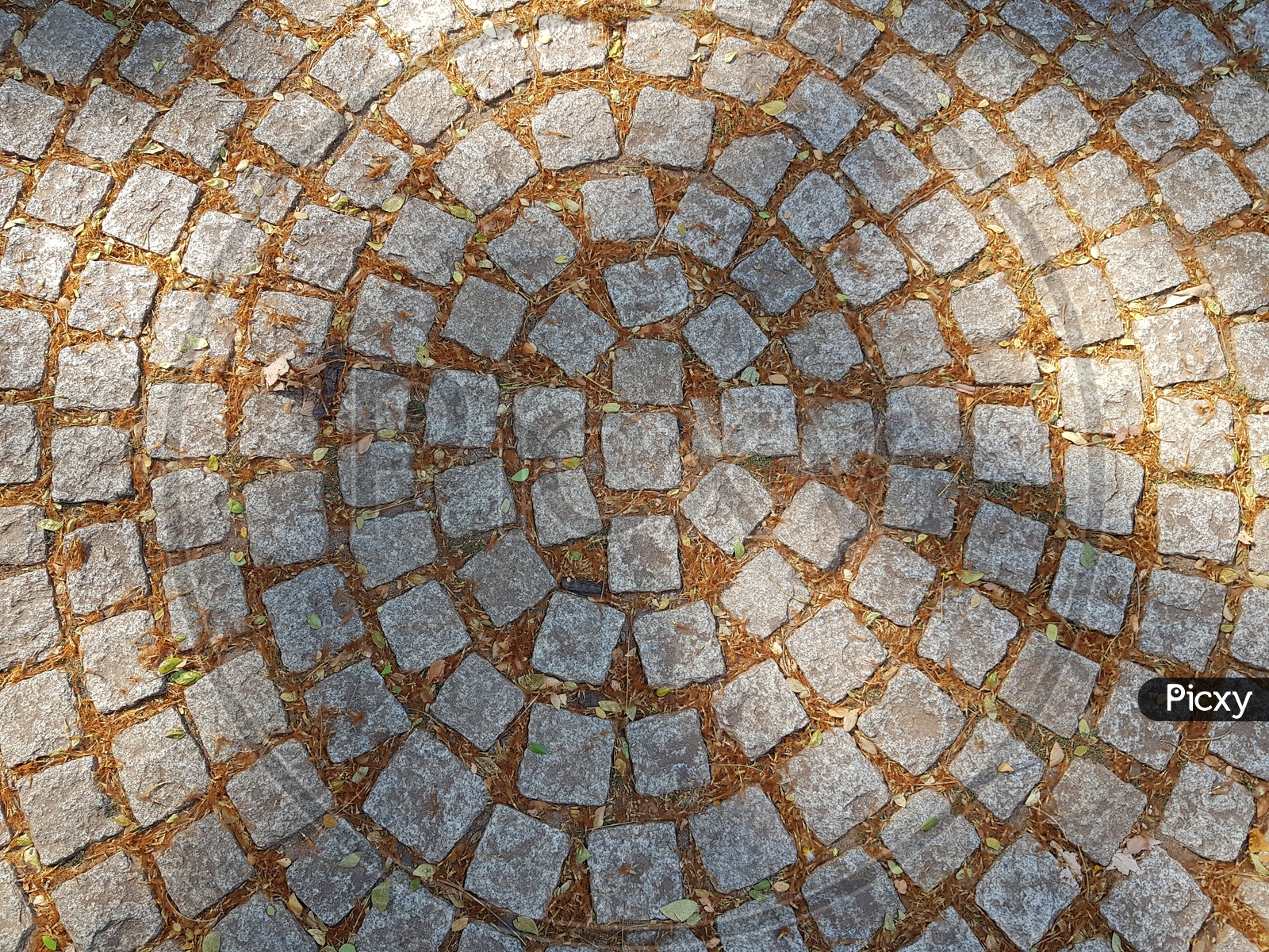 Stone Bricks Closeup With Circular Patterns On  Foot Path  Forming a Background