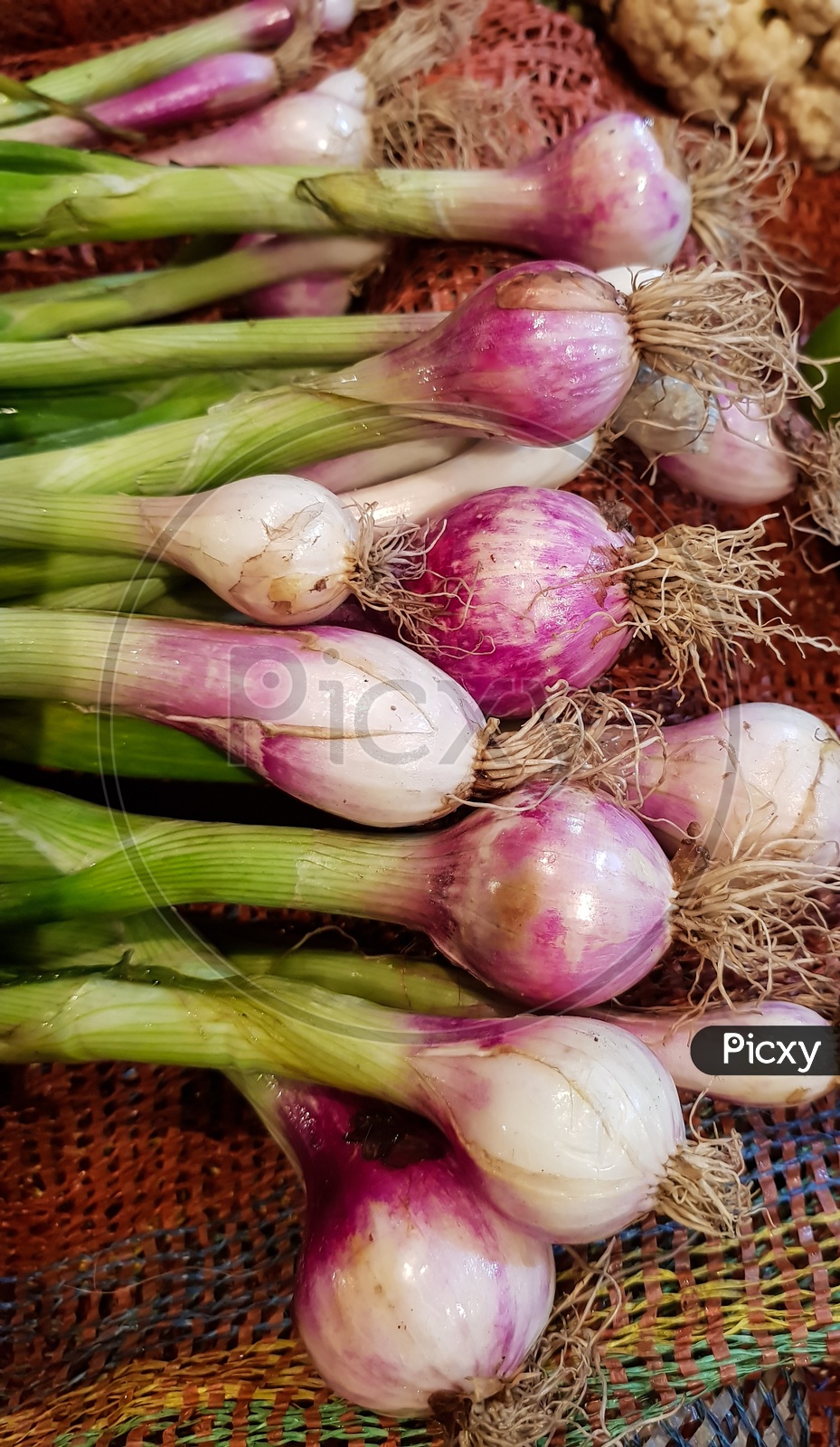 Spring Onion Roots In Vegetable Market For Sale