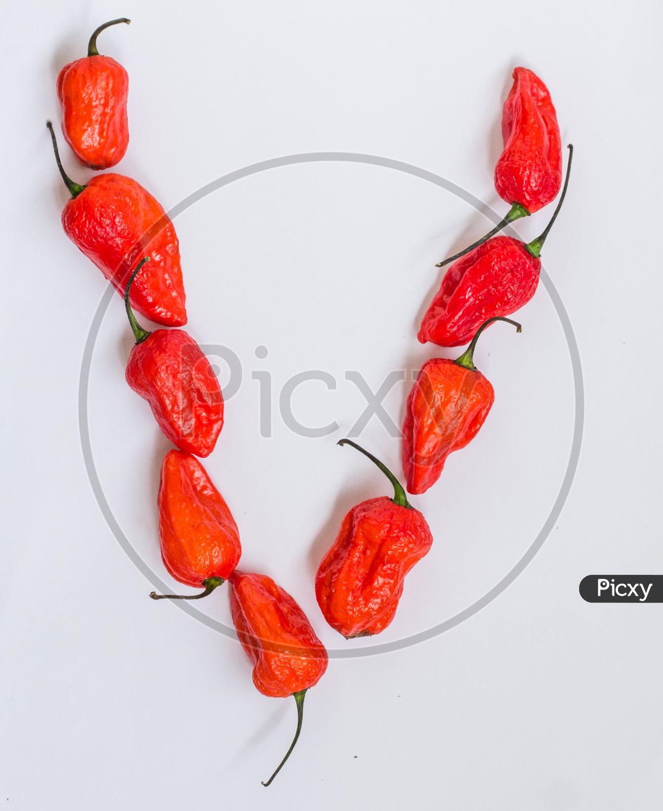 Letter V Alphabet Made With Ghost Pepper Bhoot Jolokia Over White Background