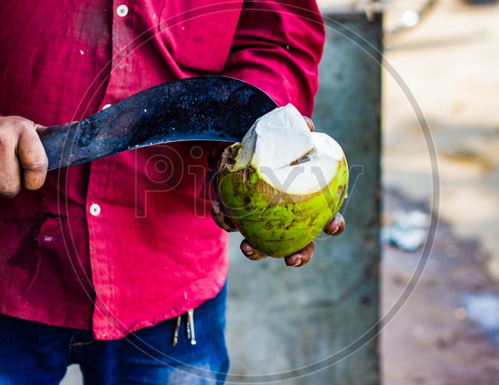 Seller Cutting A Raw Coconut Shell With Sickle To Take Out Coconut Water.