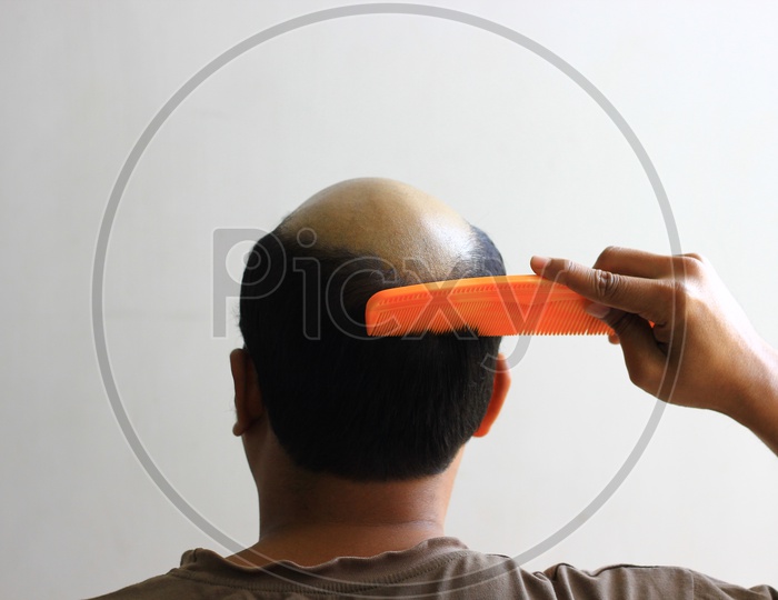 Bald Man In Isolated White Background Trying To Comb His Hair. View From Behind