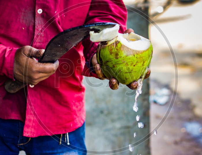 Seller Cutting A Raw Coconut Shell With Sickle To Take Out Coconut Water. Coconut Water Pouring Out Of Coconut