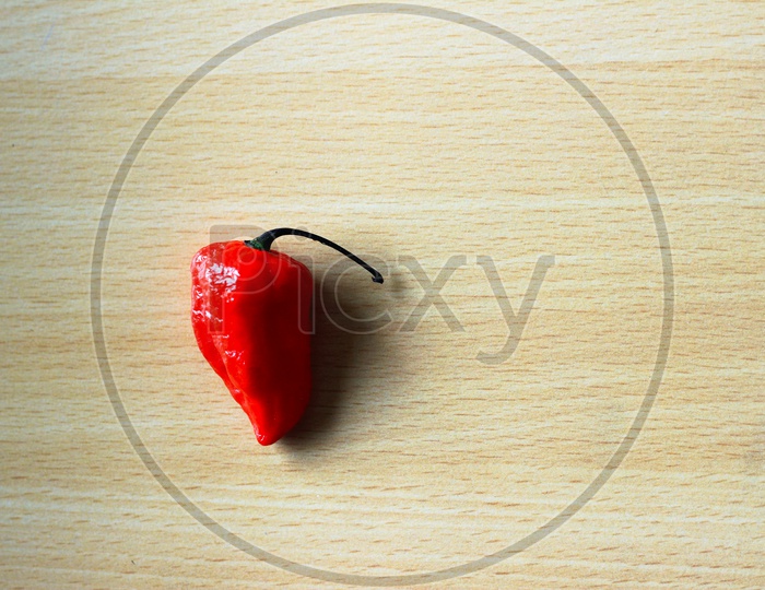 One Red Bhoot Jolokia Spicy Ghost Pepper Isolated In Wooden Background With Space For Text, Texture Background Template