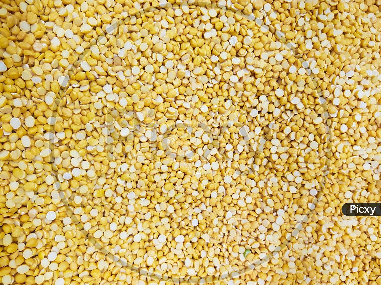Split Chickpea Lentil Raw Uncooked Beans Moong Dal Close Up. Background Texture