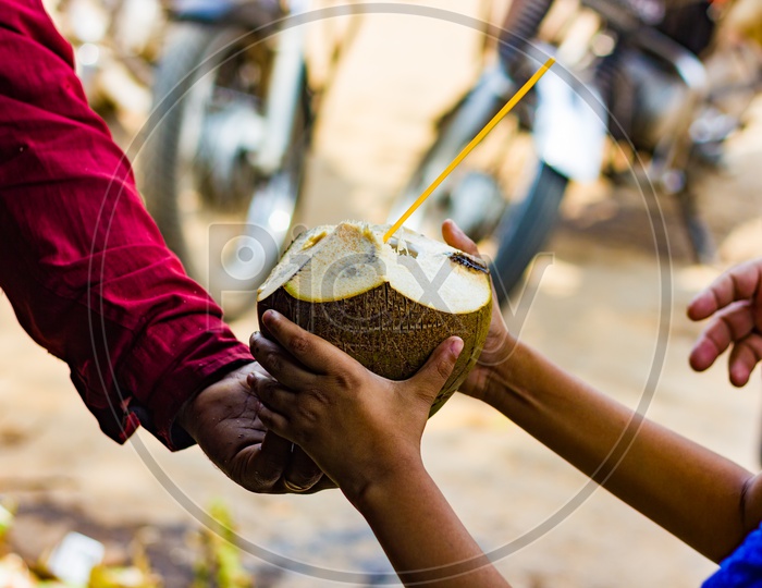 Coconut Water In Coconut With Straw Handed Over To A Kid By Seller. Natural Tropical Drink.