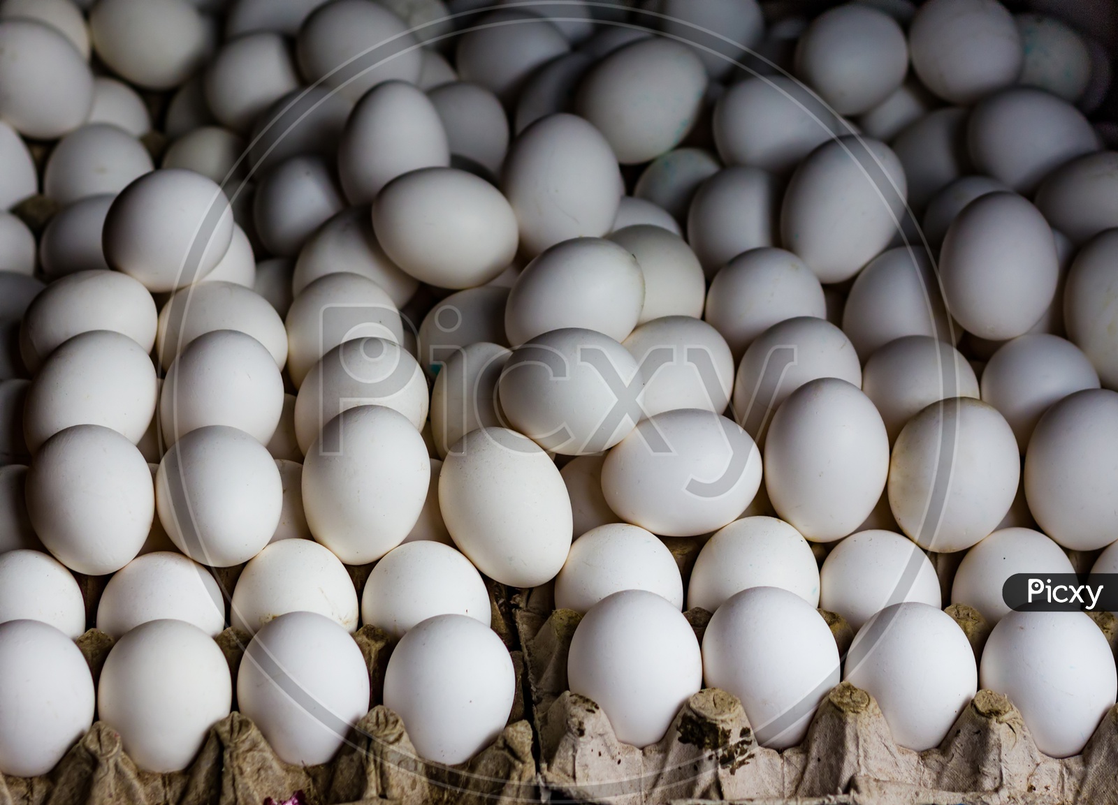 Stack Heap Of Eggs White For Sale In Poultry Farm Supermarket For Sale.