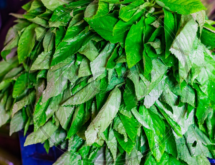 heap of green spinach leaves in retail vegetable super market for sale