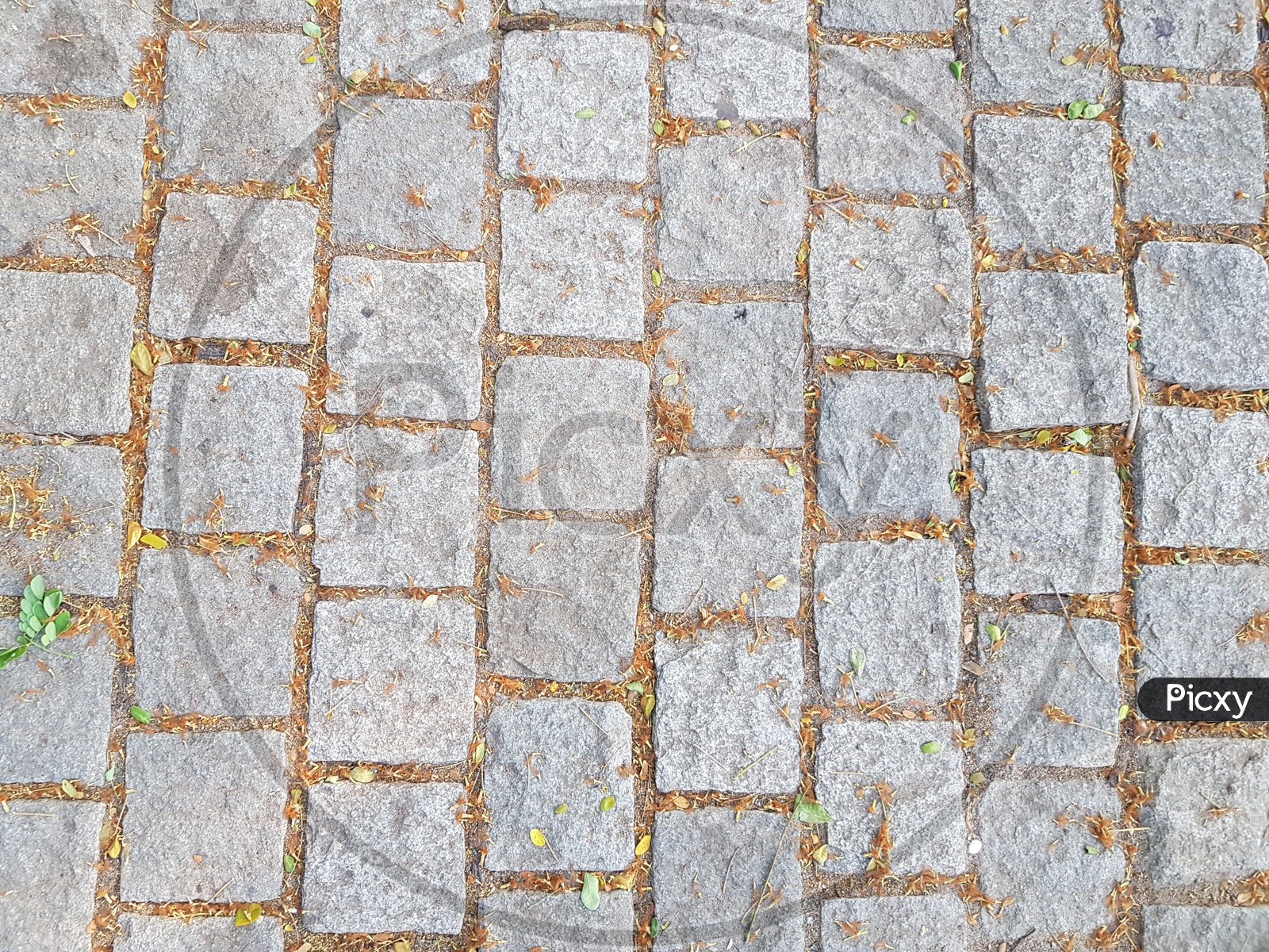 Stone Bricks Closeup Patterns On  Foot Path  Forming a Background