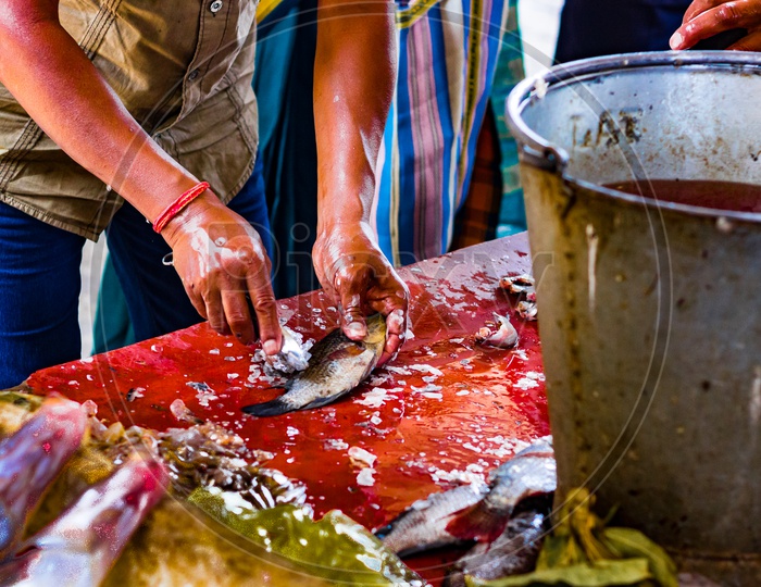 Fisherman Hawker Scaling Fish For Sale In Indian Fish Market At Kolkata