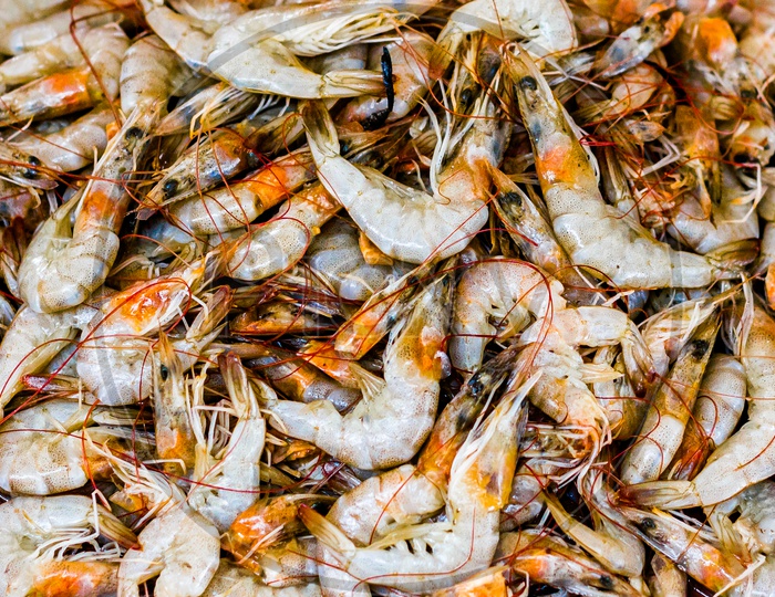 Heap Of Golden White Shrimps Prawn Lobster Seafood For Sale In Fish Market