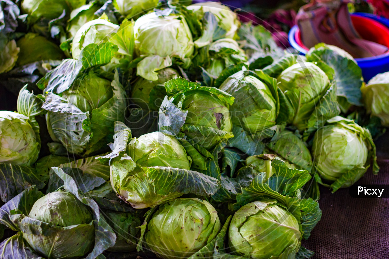 Heap Of Green Cabbage In Retail Vegetable Super Market For Sale
