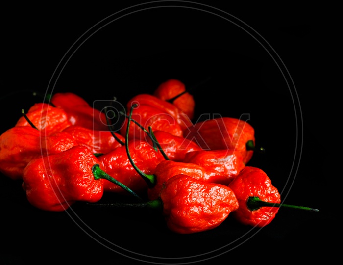 Bunch Of Red Bhoot Jolokia Spicy Ghost Pepper Isolated In Black Background With Space For Text