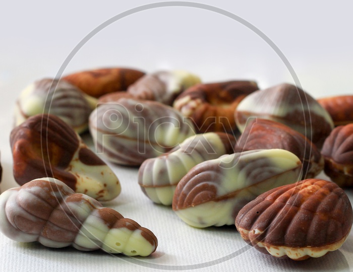 Sea Shell Shaped Assorted Belgian Chocolates In White Background.Close Up Macro Image.