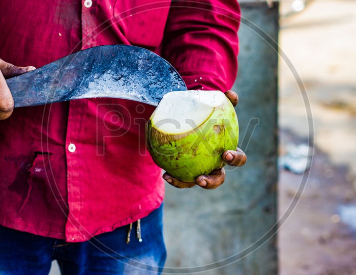 Seller Cutting A Raw Coconut Shell With Sickle To Take Out Coconut Water.
