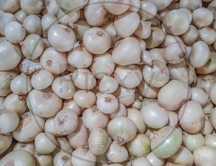 White Onions Bunch Raw Uncooked Ready To Sale In Vegetable Market