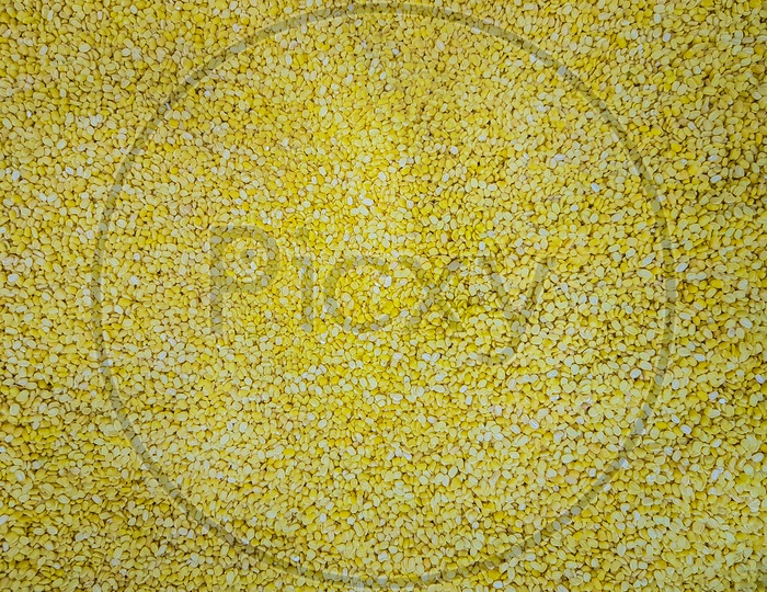 Petite Yellow Mung Lentil Raw Uncooked Beans Moong Dal Close Up. Background Texture