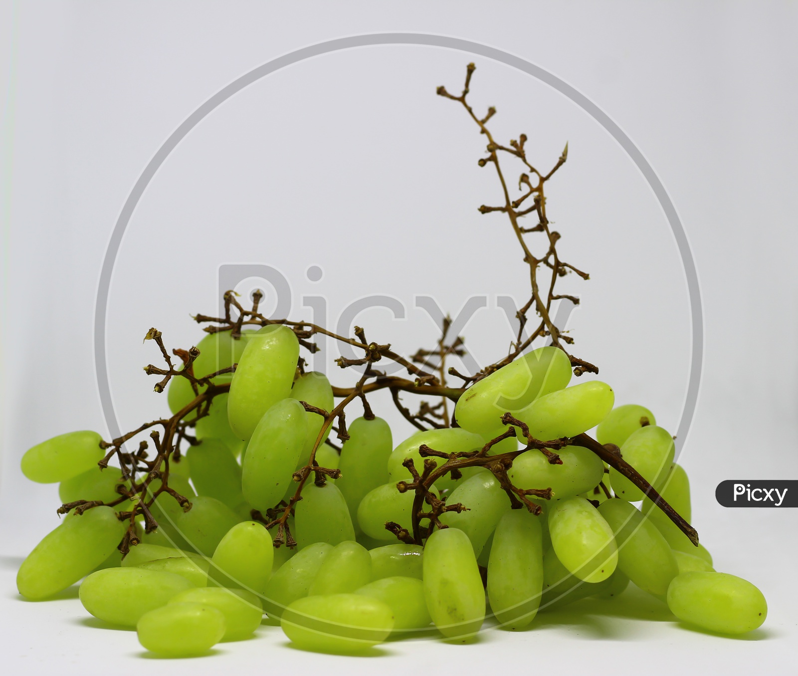 Green Grape With Branches Isolated On White. With Clipping Path. Full Depth Of Field.