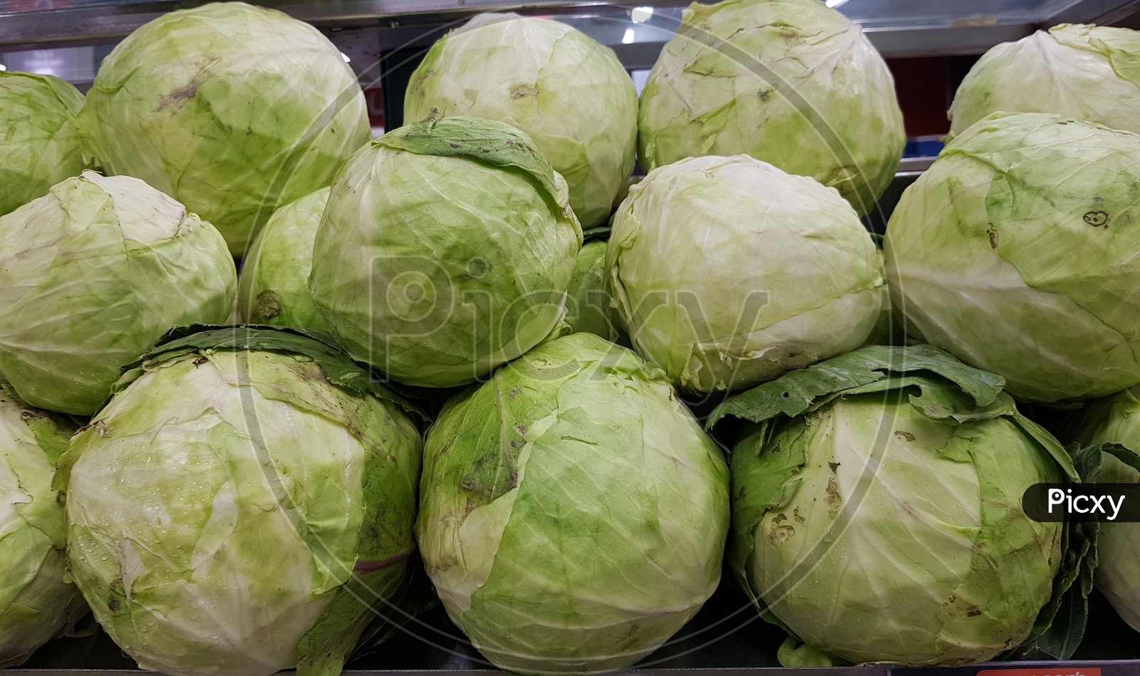 Cabbage In Vegetable Super Market For Sale