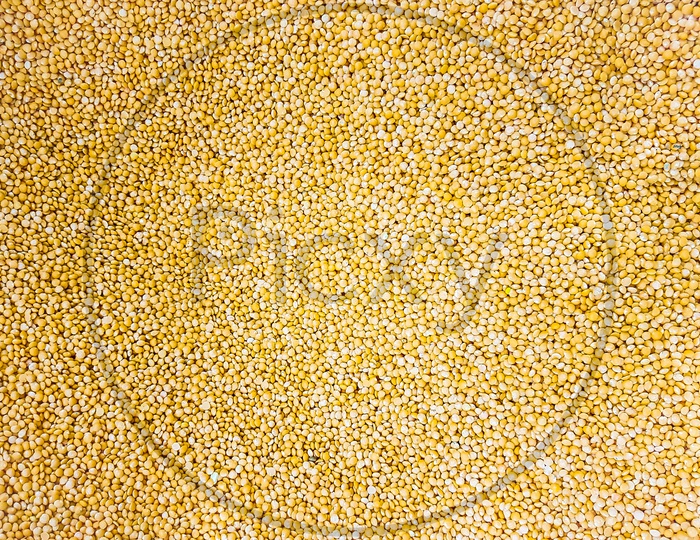 Yellow Lentil Raw Uncooked Beans Masoor Dal Close Up. Background Texture