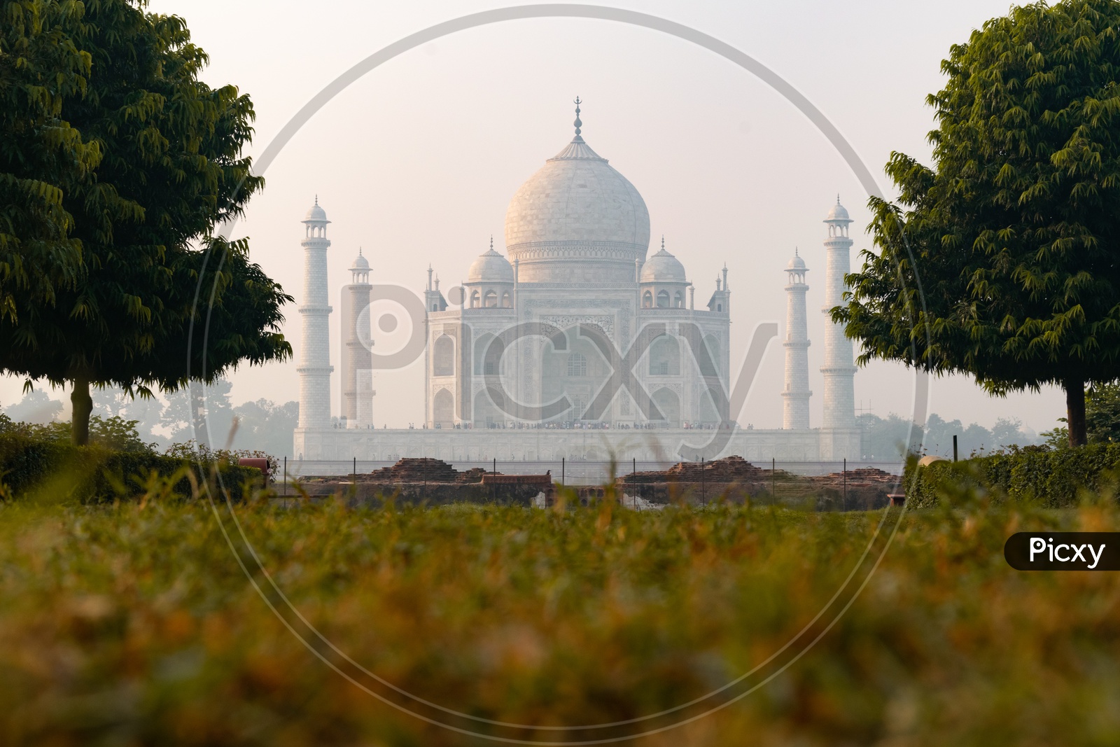Taj Mahal Beautiful View With Lawn Garden Grass In Foreground on a Foggy Morning