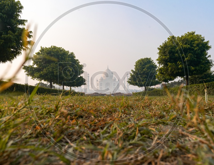 Taj Mahal Beautiful View With Lawn Garden Grass In Foreground on a Foggy Morning