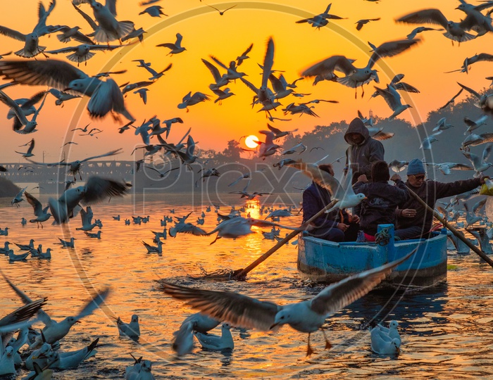 Tourists having a boat ride during Sunrise at Yamuna Ghat of kashmere gate with seagulls flying