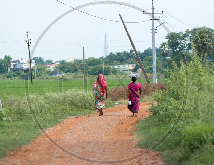Rural Village Woman Walking on Pathways Near Agricultural Farms