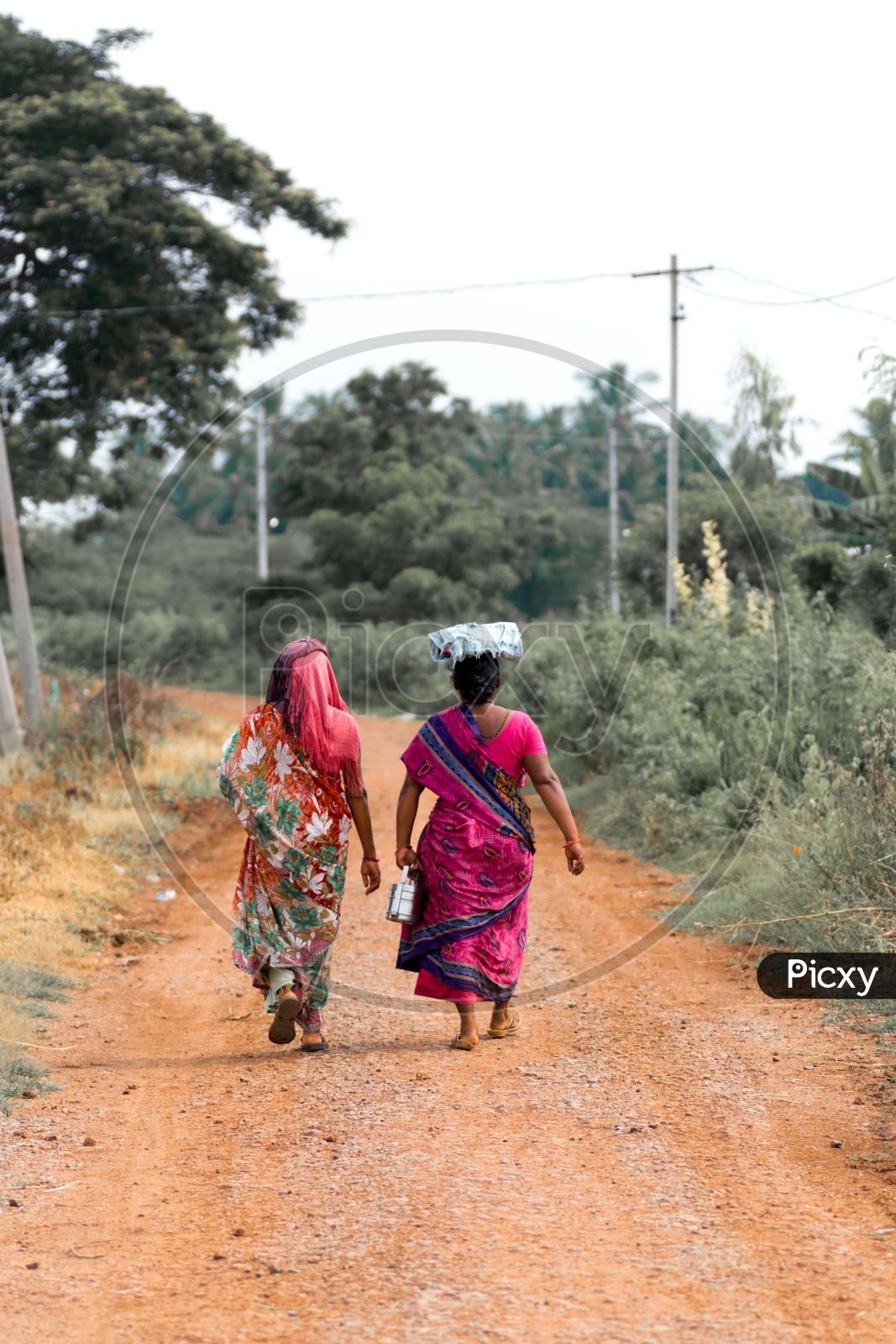 Indian Rural Village Woman Going To Agricultural Fields on Mud Pathways