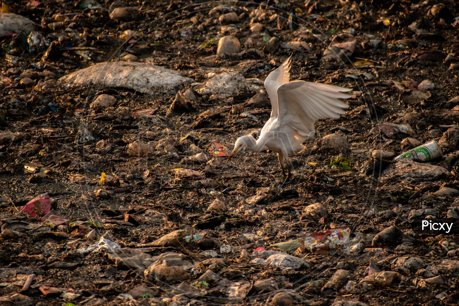 image-of-drainage-at-masab-tank-clogged-because-of-plastic-waste