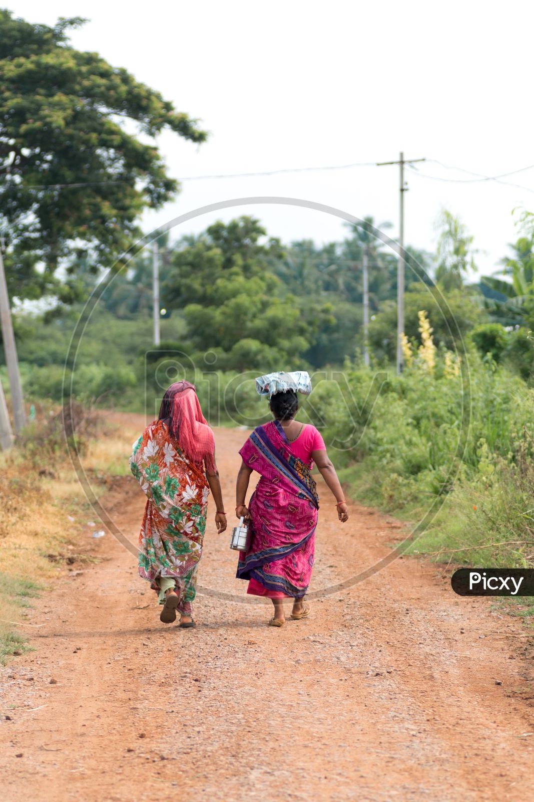 Woman Farmers Carrying Food in Lunch Boxes And Walking On Pathways To Fields