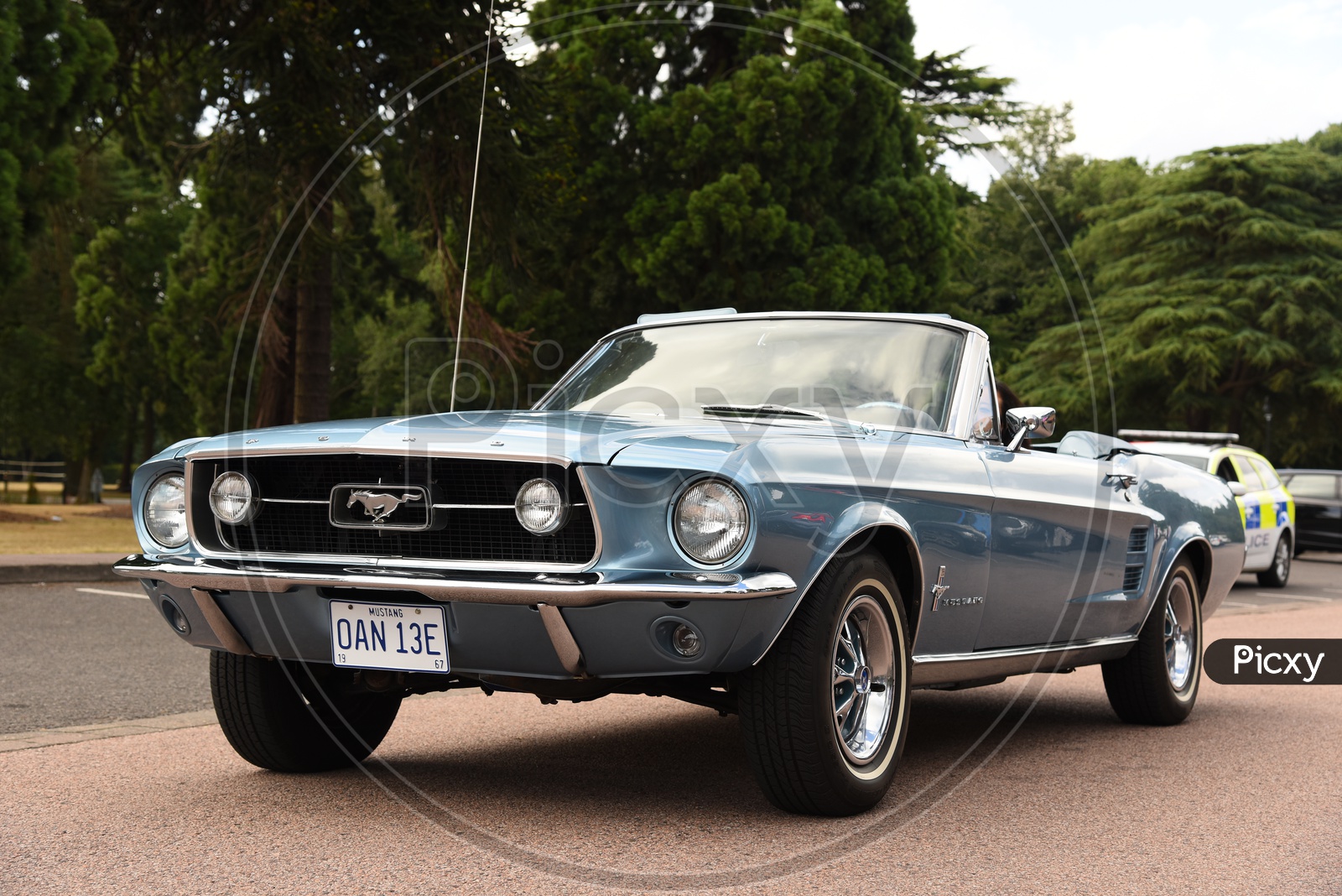 Vintage Mustang Car