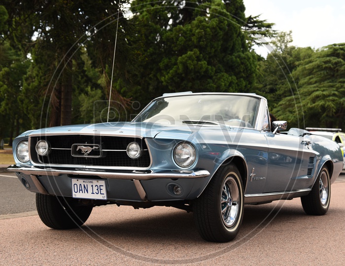 Vintage Mustang Car