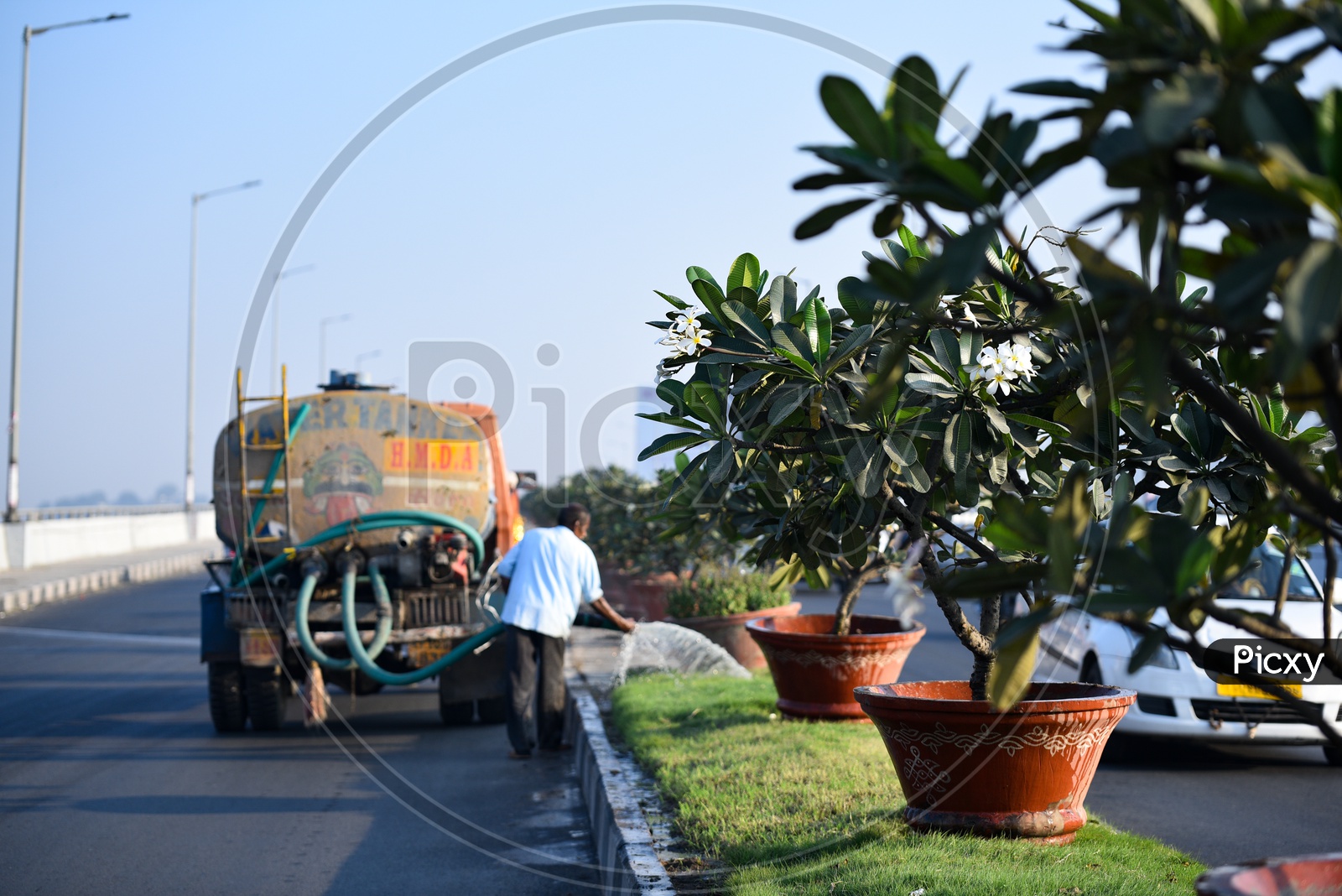Plants Growing By GHMC On Road Dividers in Pots At Flyovers