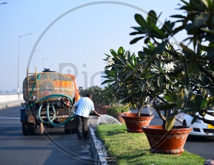 Plants Growing By GHMC On Road Dividers in Pots At Flyovers