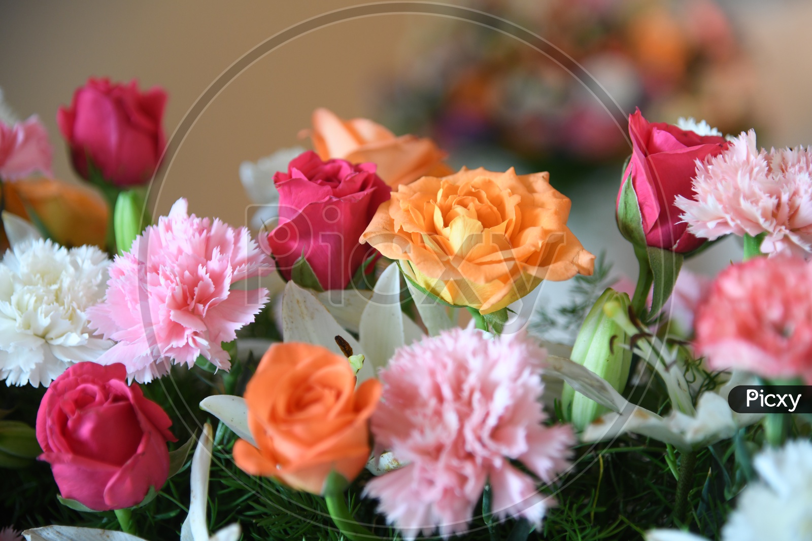 Flowers in a Bouquet Closeup